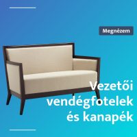 Vezetői ügyfélszékek, fotelek és kanapék